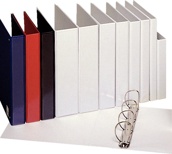 Esselte Essentials Panorama Ringband A4 - 4- Rings - Ringband met 2 Insteekvakken - Rugbreedte van 51mm - Blauw