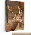 Marron, Cerf