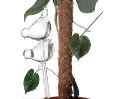 foto van Bewateringsballen Glas Vogel 2 stuks - Bewateringsbal voor Planten - Potplanten - Waterdispenser Automatisch - Irrigatie