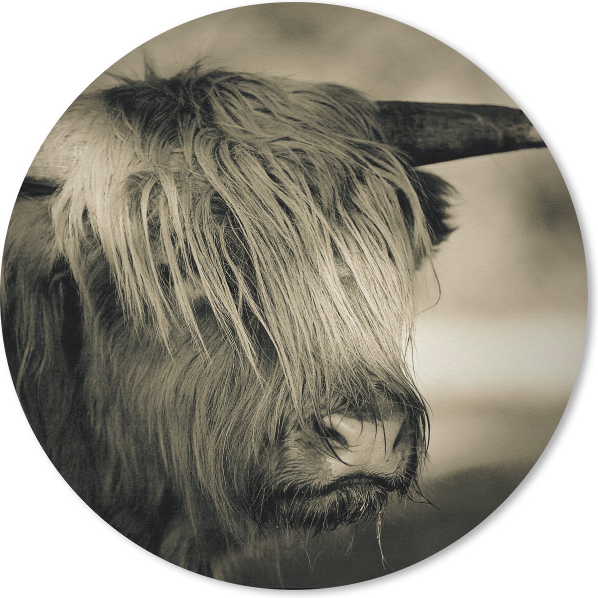 Muismat rond 50x50 cm - Mousepad Schotse Hooglander - Dieren - Haar - Ronde muismatten