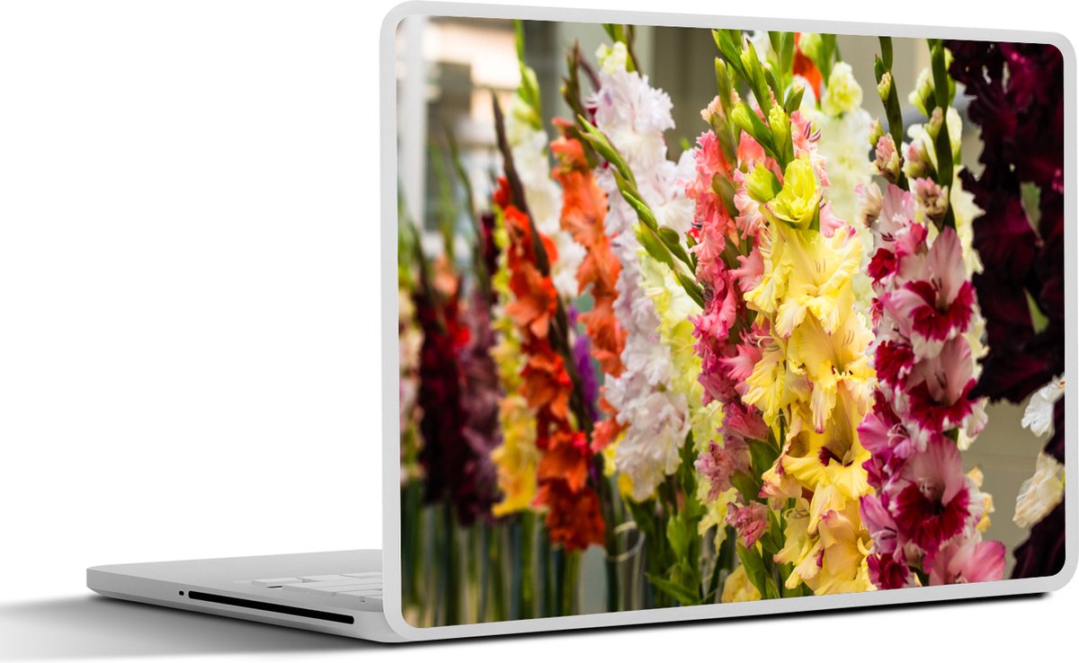 Laptop sticker - 10.1 inch - Gladiolen - Bloemen - Kleuren - 25x18cm - Laptopstickers - Laptop skin - Cover