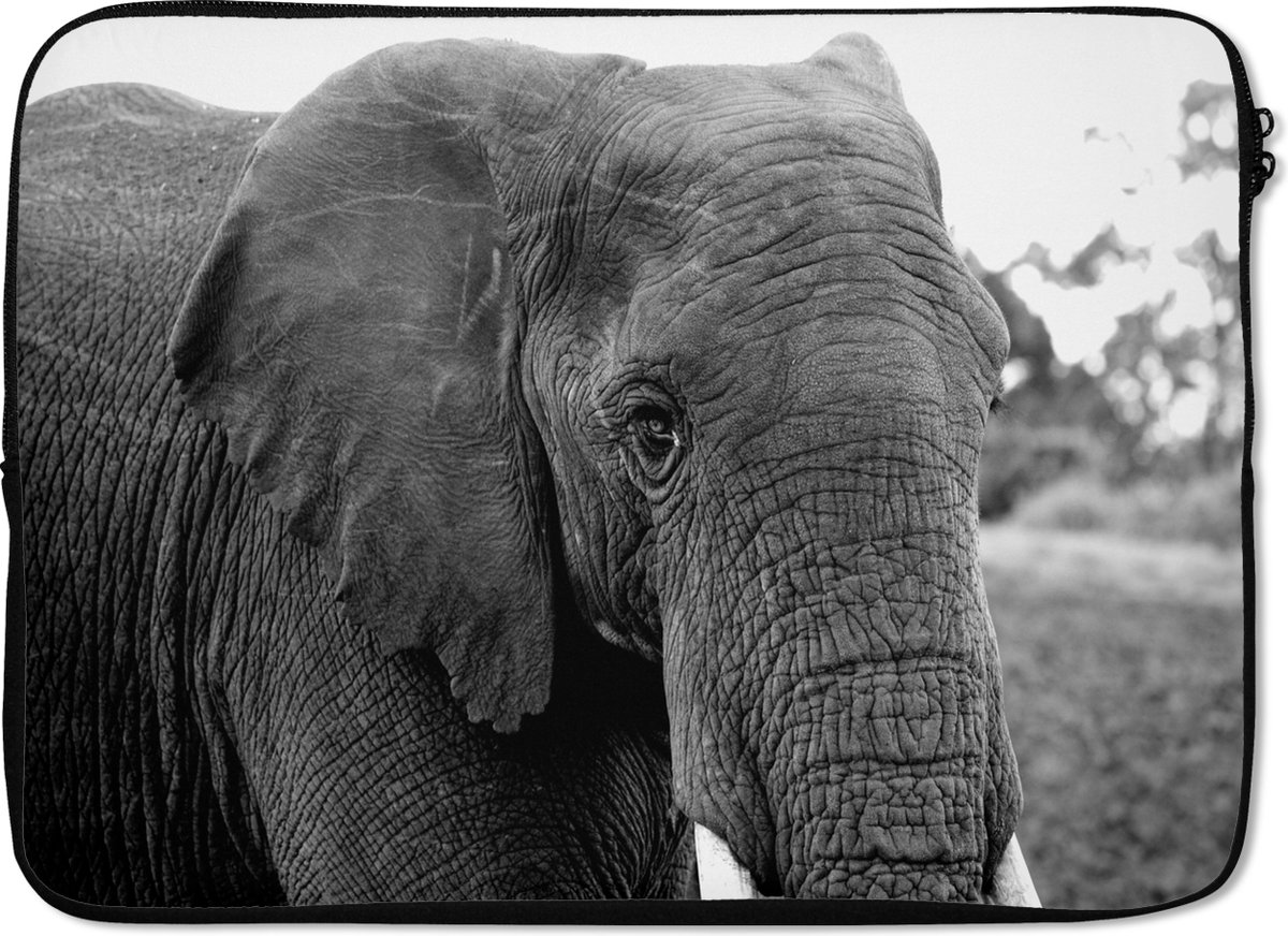Laptophoes 14 inch - Olifant - Dieren - Zwart - Wit - Natuur - Laptop sleeve - Binnenmaat 33x23 cm - Zwarte achterkant