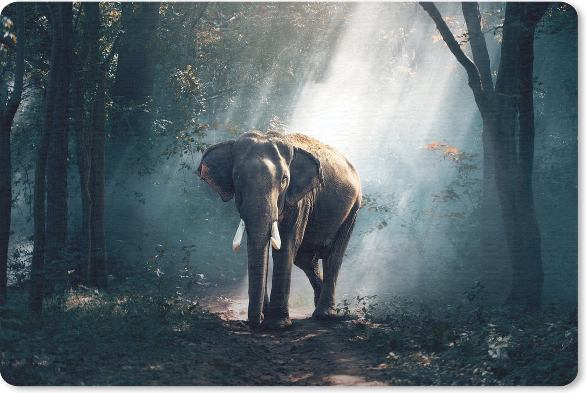 Muismat 27x18 cm - Mousepad Olifant - Dieren - Licht - Bos - Natuur - Wilde dieren - Muismatten