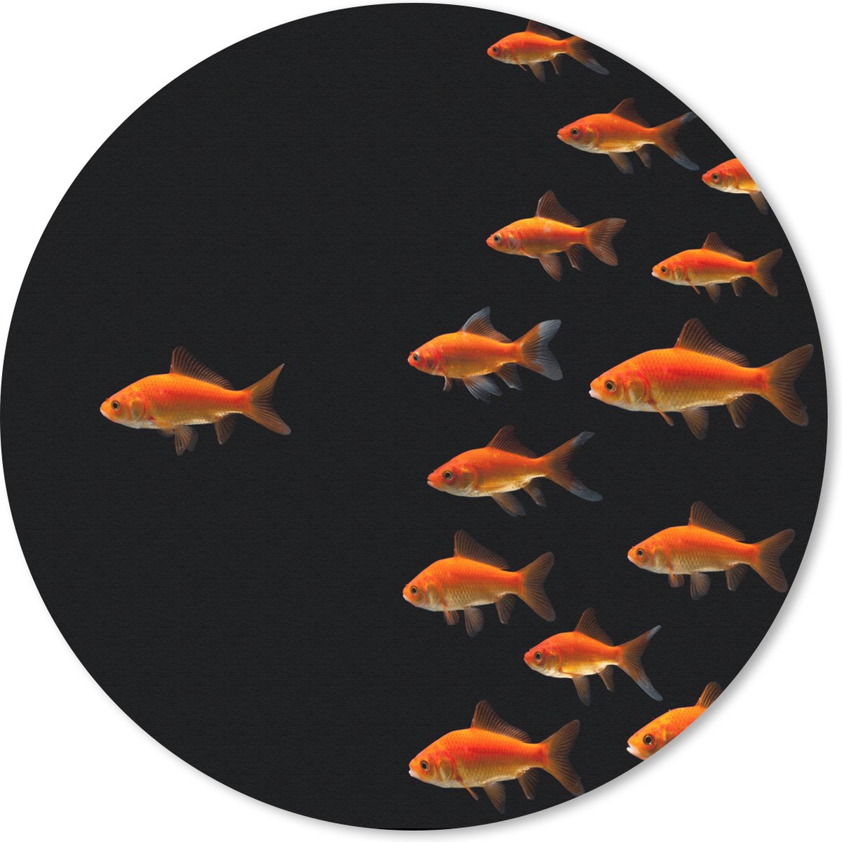 Muismat rond 40x40 cm - Mousepad Goudvis - Dieren - Zwart - Ronde muismatten