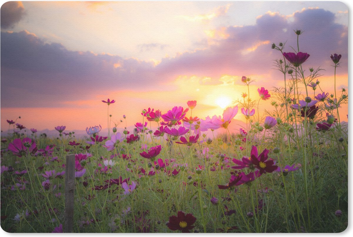 Muismat 27x18 cm - Mousepad Zonsondergang - Bloemen - Roze - Natuur - Groen - Muismatten