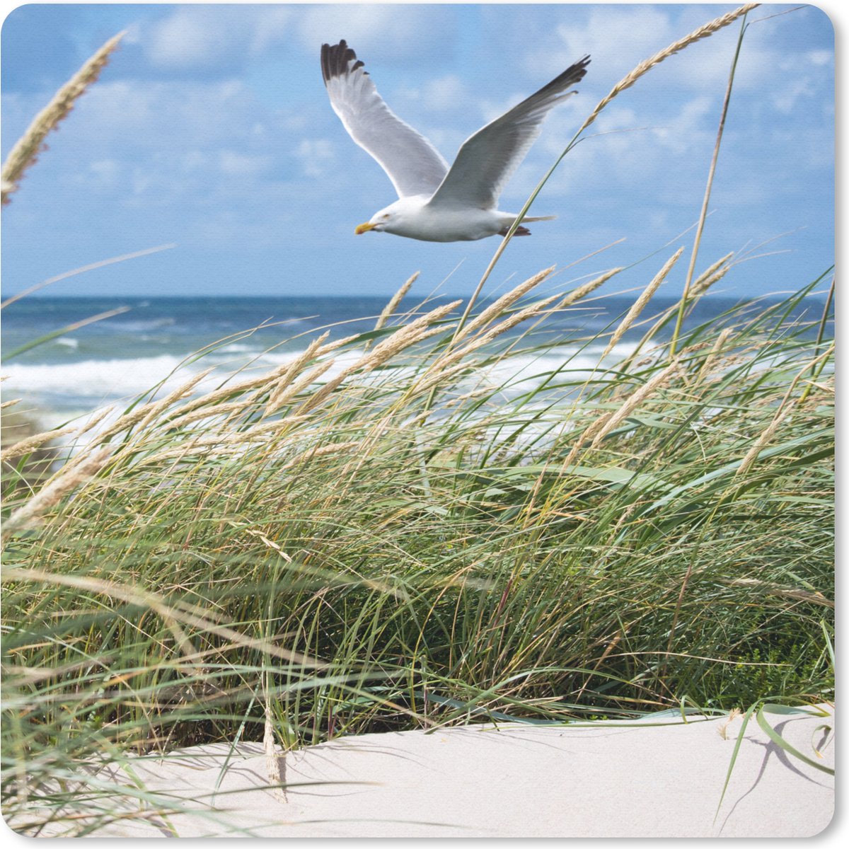 Muismat 20x20 cm - Mousepad Strand - Vogel - Planten - Muismatten