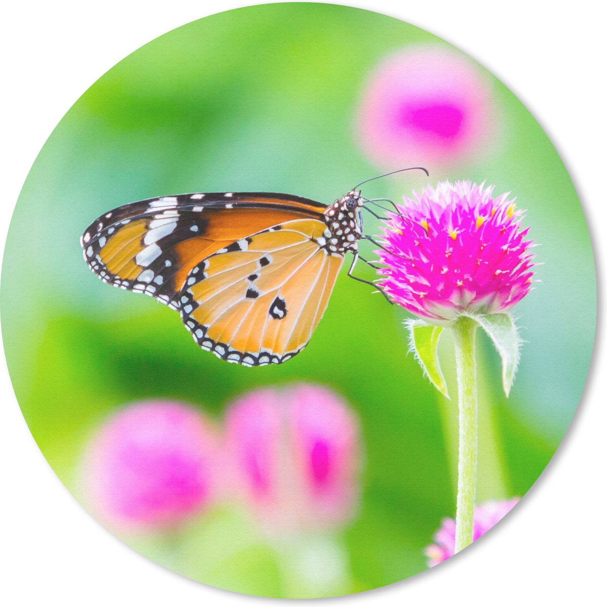 Muismat rond 40x40 cm - Mousepad Landelijk - Vlinder - Distel - Bloem - Ronde muismatten