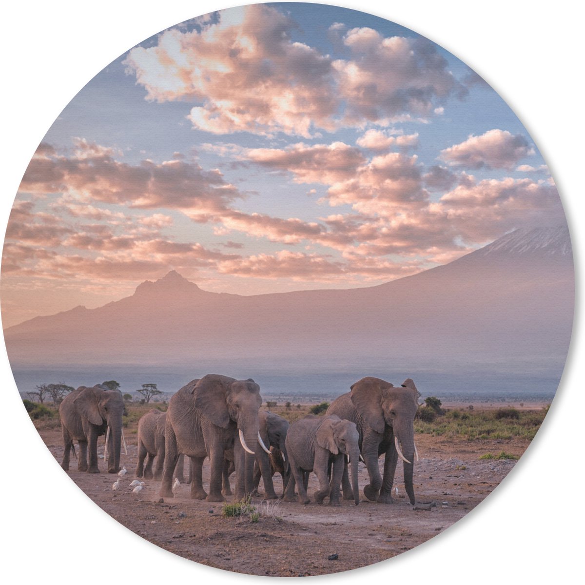 Muismat rond 50x50 cm - Mousepad Olifant - Dieren - Avond - Landschap - Savanne - Ronde muismatten