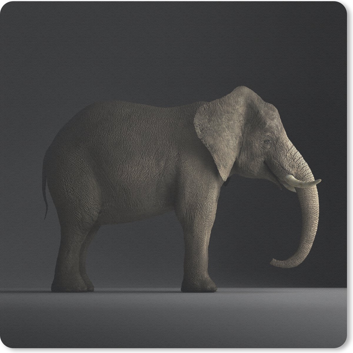 Muismat 20x20 cm - Mousepad Olifant - Dieren - Licht - Muismatten