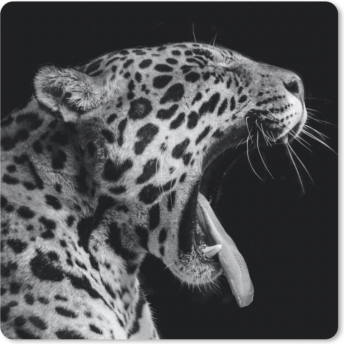 Muismat 20x20 cm - Mousepad Jaguar - Dier - Zwart - Wit - Muismatten
