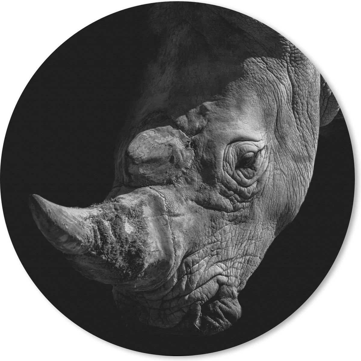 Muismat rond 20x20 cm - Mousepad Neushoorn - Wild dier - Portret - Ronde muismatten