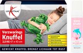 Lucovitaal Cadeauset Verzwaringsknuffel Foam Roze