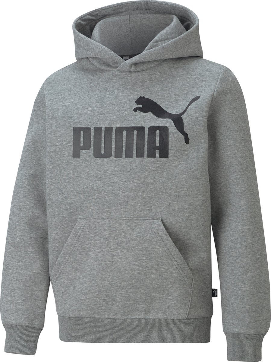 Puma Essential Hoodie Junior Zwart