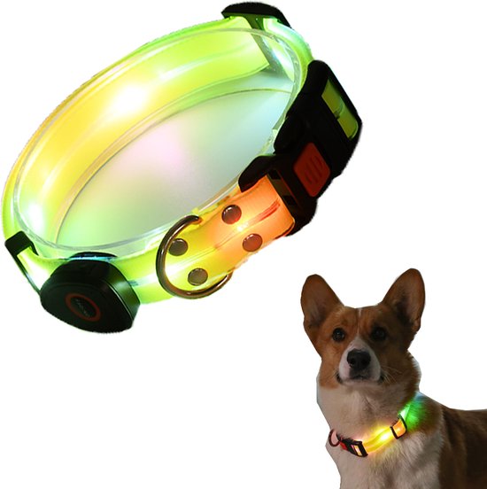 Foto: Led lichthalsband voor honden weerbestendig halsbandlicht oplaadbaar en verstelbaar nylon halsband voor honden halsband hond waterdicht gloeiend perfect voor huisdieren nachtwandelingen buitenshuis geel oplaadbaar via usb