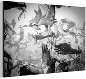 Aluminium schilderij 120x80 cm - Wanddecoratie metaal - Kraanvogel - Zwart wit - Dieren - Vogels - Metalen muurdecoratie woonkamer - Decoratie industrieel - Foto op dibond - Industriële accessoires slaapkamer