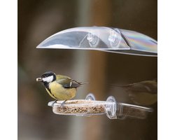 CJ Wildlife Vogelvoederhuisje Raam met Zuignappen - Bordeaux - Raamvoederhuisje Transparant - Vogelhuisje met Voederschaal voor Tuinvogels - Groen