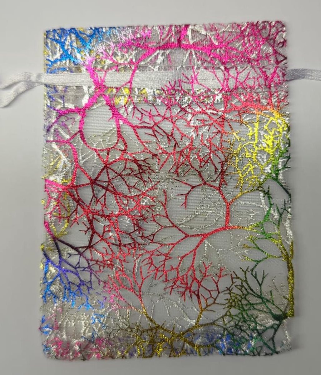 Organza zakjes - Mooi - 9 x 12 cm - 20 stuks – Prachtig – Delicaat – Snoep – Sieraden – Kleine cadeautjes – Decoratie – Feesten – Geschenkjes – REGENBOOG - R 9x12