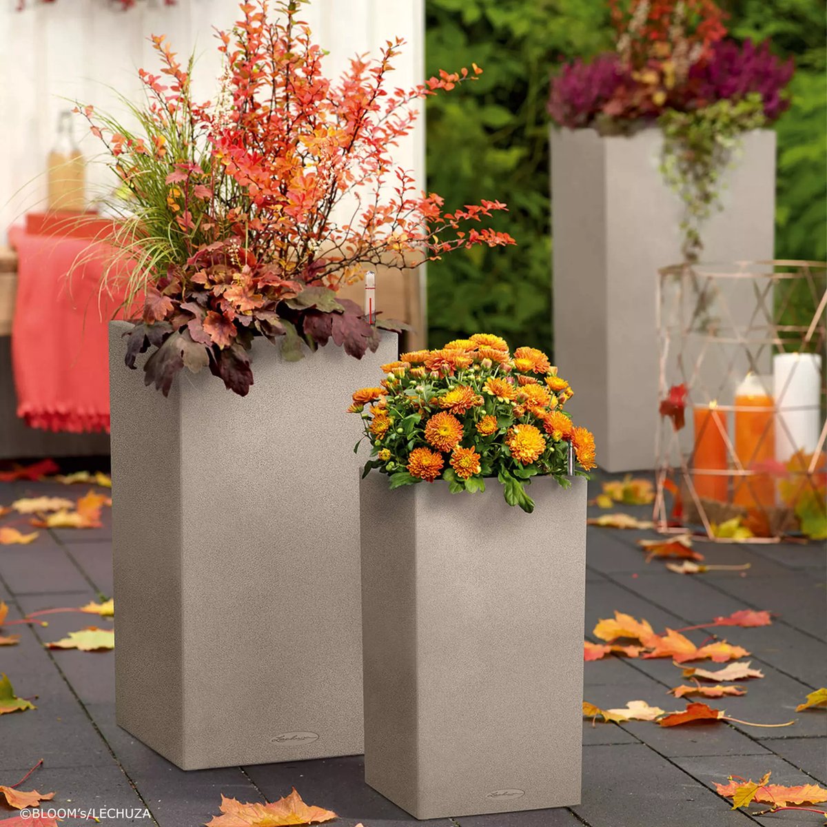 Lechuza Canto Stone 30 high - Planter - removable inner pot
