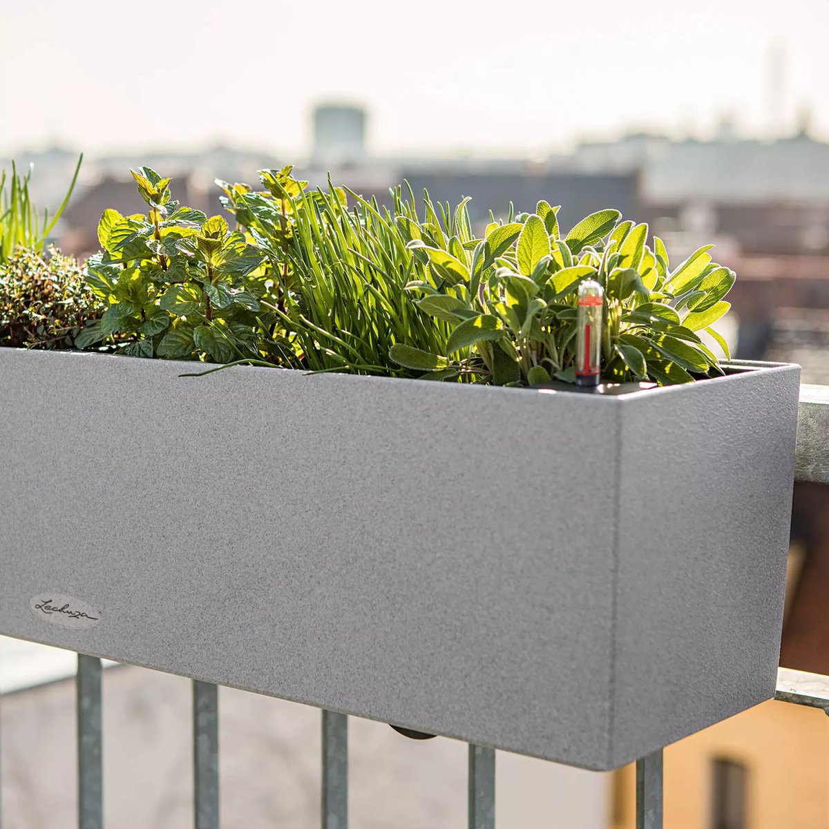 Lechuza Balconera Stone 80 - Planter - with removable inner pot