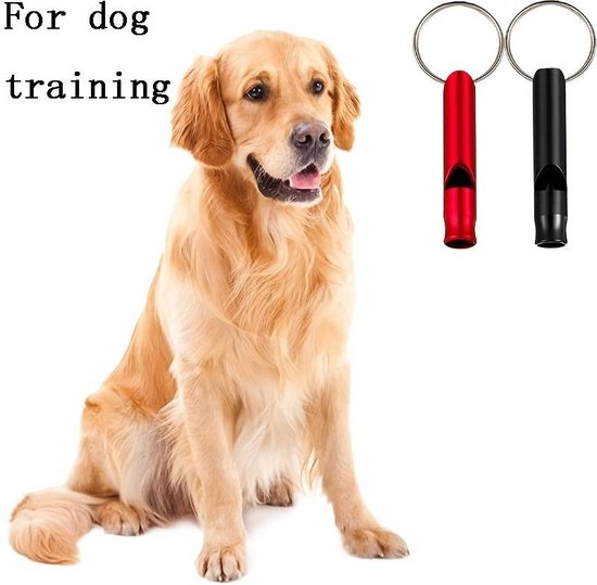 Golden retriever assis avec deux sifflets porte-clés.