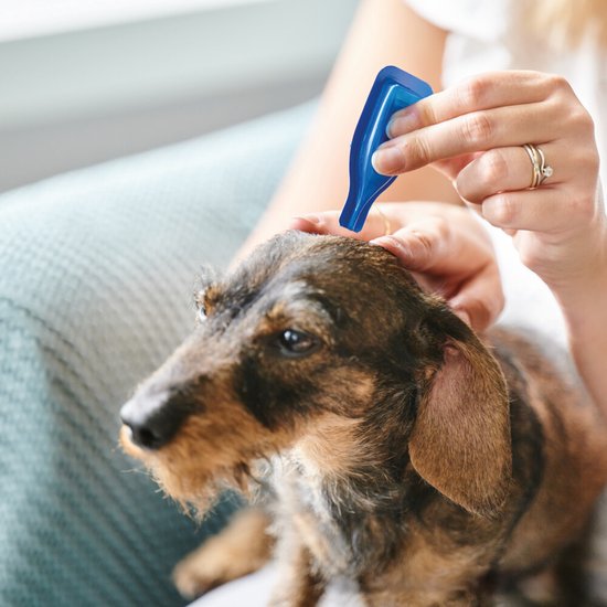 Beaphar No Stress Spot-On hond 3 pipetten