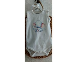 Bedrukt rompertje, Rompertje met olifantje, Baby rompertje, Romper, Rompertje, Olifant, Baby hemdje, Rompertje 62-68, Zwanger, baby cadeau, Baby shower
