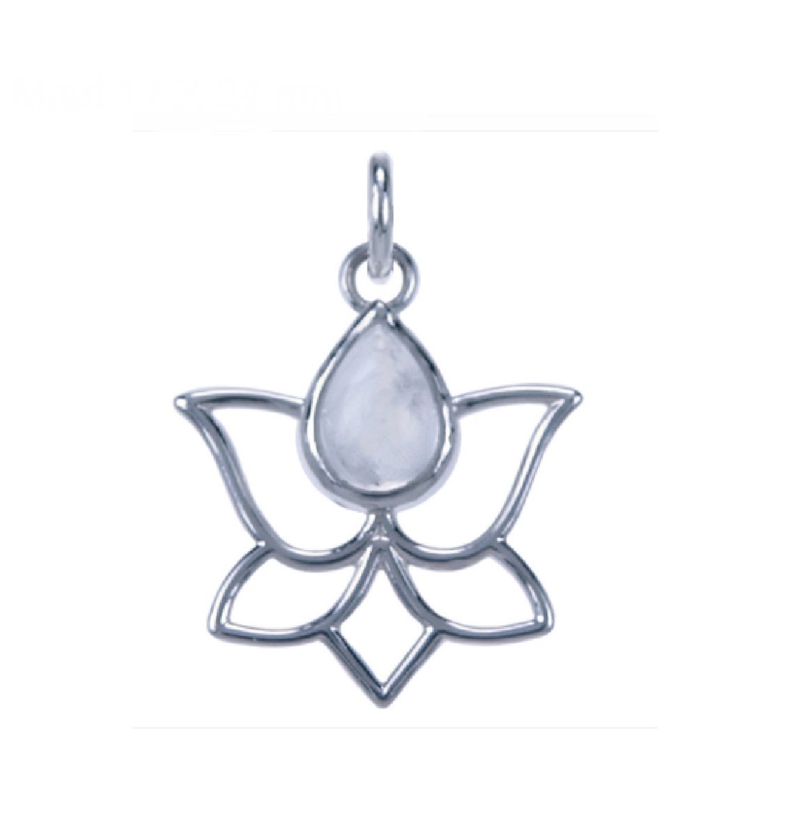 Hetty'S - Bijzondere Lotushanger - 925 zilver - maat 17 X 24 mm - Maansteen