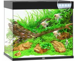 Juwel Lido 200 LED Aquarium - Zwart - 200L - 71 x 51 x 65 cm