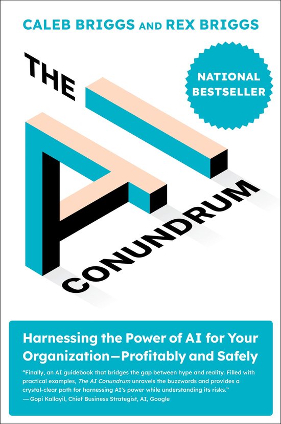 The AI Conundrum - cover