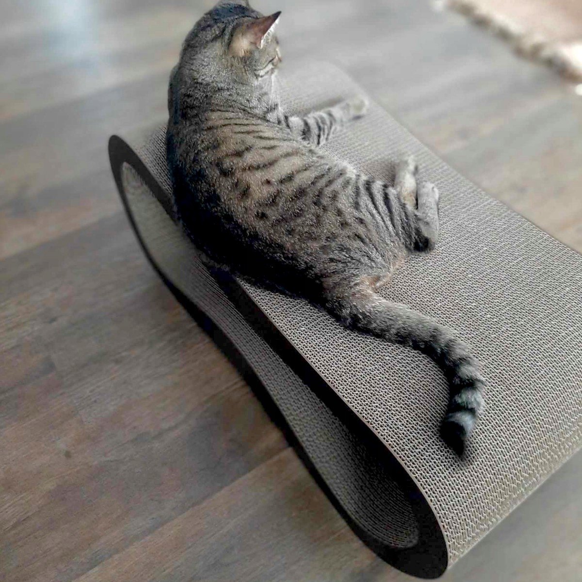Mruu&Pruu GROOT KATTENKRAASBED XXL LEON ZWART Kattenmand Krabplank Krabpaal Karton Krabmand Kattenbed | 78x28x40 cm thumbnail 5