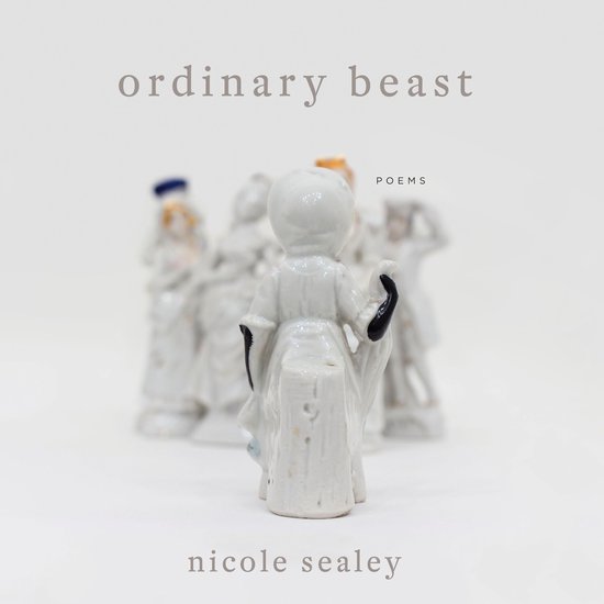 Ordinary Beast - cover