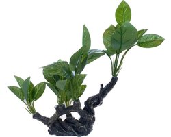 AS Aquascape Anubias Deluxe M - Aquarium kunstplant - Decoratie plant