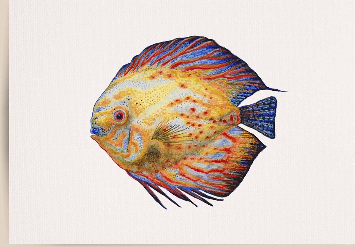 World of Mies poster tropische vis blauw/geel - A4 - mooi dik papier - Snel verzonden! - tropisch - zeedieren - dieren in aquarel - geschilderd door Mies Tropische vis geel