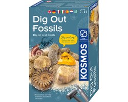 foto van Kosmos Dig Out Fossils