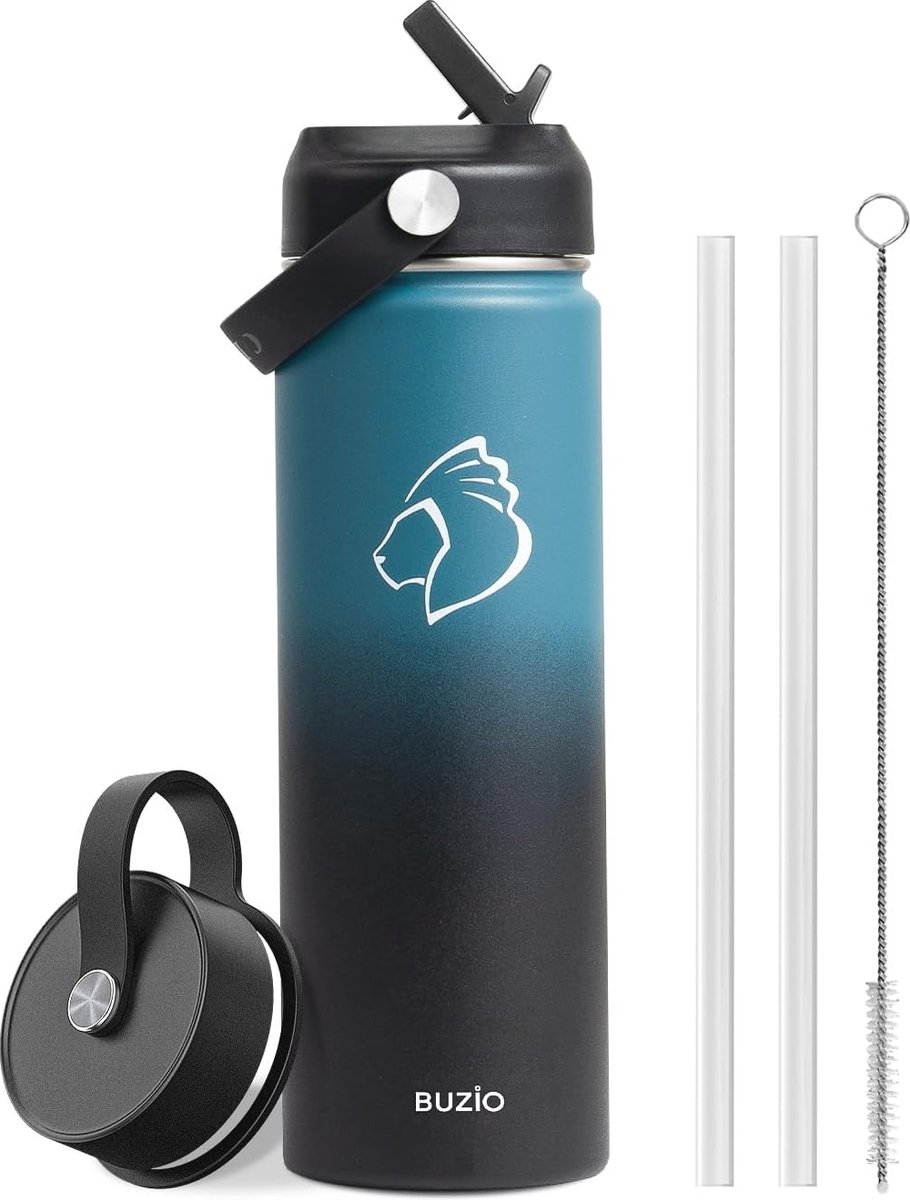 Goedkoopste Isolerende roestvrijstalen waterfles 750 ml met rietje en brede opening - ideaal voor koude dranken
