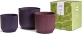Elho The Winery Collection Cadeaupakket - Bloempotten voor binnen - 100% Gerecycled Plastic - Set van 3 - Ø 14, 16 en 18 cm - Donkerpaars