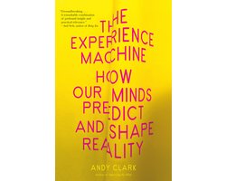 The Experience Machine