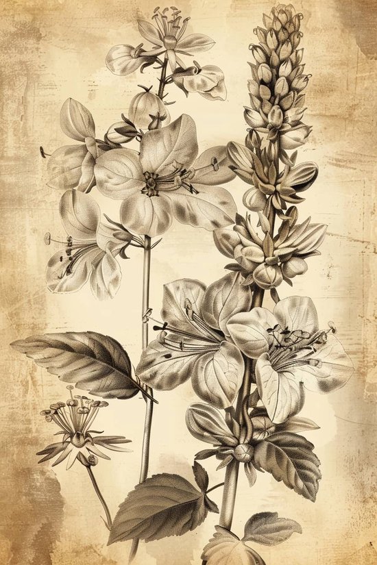 Illustration botanique de plantes en fleurs avec des branches et des feuilles sur un fond vieilli beige.