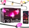 Lampes Twinkly C9 - Contrôlées par application - Guirlande lumineuse LED avec 80 LED RVB (16 millions de couleurs) - 24,4 m - Câble vert - Éclairage extérieur intelligent