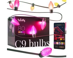 Twinkly C9 lampen - App gestuurde - LED-lichtslinger met 80 RGB (16 miljoen kleuren) LED's - 24,4m - Groene kabel - Slimme buitenverlichting