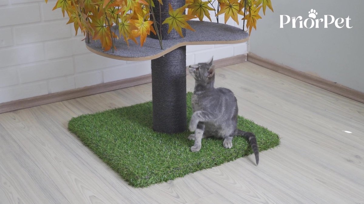Kattenboom met verwisselbare bladeren - Gepatenteerde Krabpaal voor katten om in te klimmen, zich te verbergen en te slapen – Krabpalen met Meerdere niveaus – 160cm Herfst Kattenboom met verwisselbare bladeren - Gepatenteerde Krabpaal voor katten om in te klimmen, zich te verbergen en te slapen – Krabpalen met Meerdere niveaus – 160cm Herfst