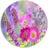 Bloemen wandschalen - Natuur wandcirkel - Wandschaal Groen - Muurdecoratie landelijk - Forex - Kunstwerk muurcirkel forex 40x40 cm