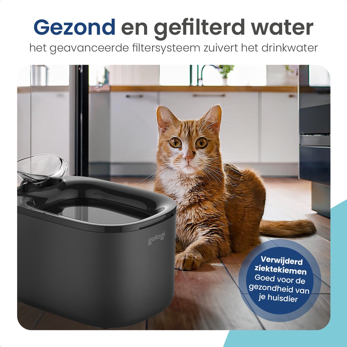 Gologi Drinkfontein Kat en Hond XL thumbnail 5