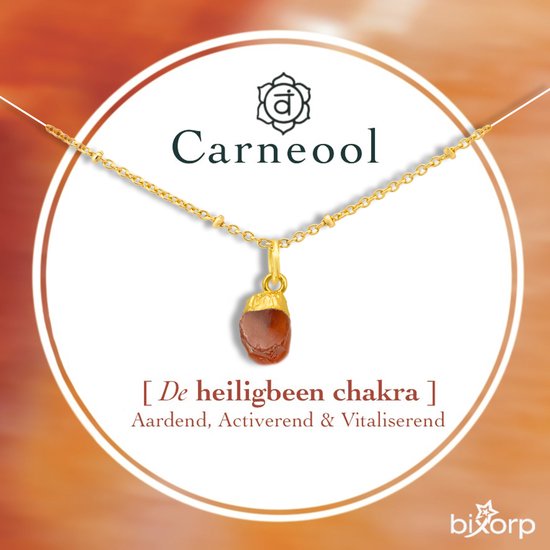Bixorp Carneool Chakra Ketting - Goud Vergulden Roestvrij Staal - Ruwe Edelsteen Hanger - 36cm + 8cm verstelbaar