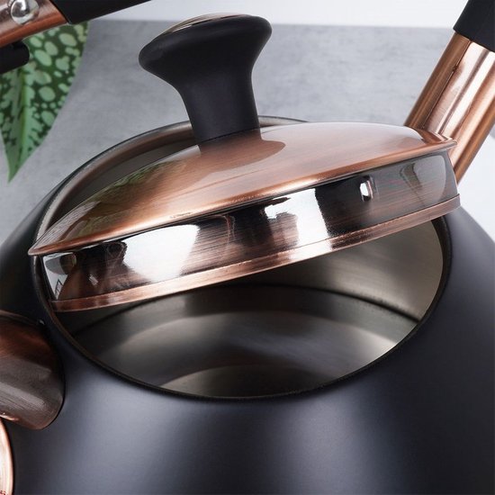 Bouilloire sifflante en acier inoxydable Zwart 3 l - Bouilloire avec sifflet - Bouilloire