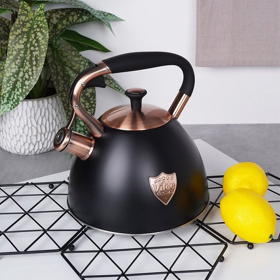 Bouilloire sifflante en acier inoxydable Zwart 3 l - Bouilloire avec sifflet - Bouilloire