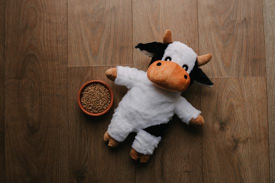 Foto: Warmies warmteknuffel zeehond 22 cm