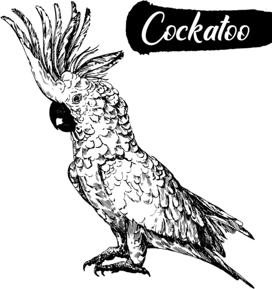 Muursticker Kaketoe XL