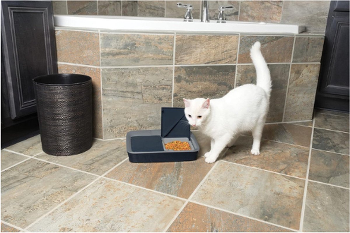 Digitale Voederautomaat Voor 2 Maaltijden - 2 - afbeelding 3