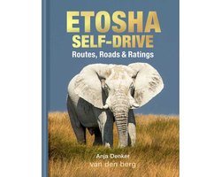 Etosha Self-Drive